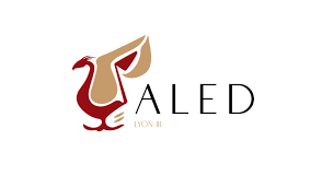 Master finance controle de gestion lyon. Eclairage La Dualite De La Notion De Controle De Gestion