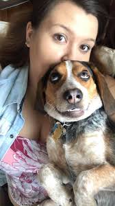 Doggy pics to cheer me up. Who's