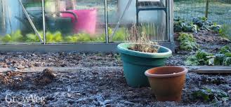 For the love of lillian. Cheap And Cheerful Ways To Insulate Your Greenhouse