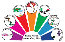 Snake-related causes of dry bites. Schematic representation of the main...  | Download Scientific Diagram