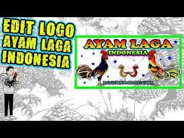 Edit Logo Ayam Laga Indonesia Youtube Edit Logo Logos Indonesia