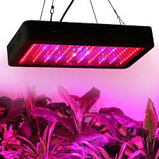 We did not find results for: Lightimetunnel 300w Dimmbare Led Lampe Wachsen Gesamte Sp Https Www Amazon De Dp B01iqjrlas Ref Cm Sw R Pi Dp X Ayubybkcktgv8 Pflanzenleuchte Licht Lampe