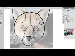 Aug 17, 2017 · guide to drawing furry faces 2.0. How To Draw A Furry Fox Head Youtube