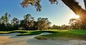 Image result for why is the golf course called the concession