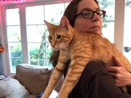 Chelsey Sheldon- Trowbridge here's your 6 month or so update