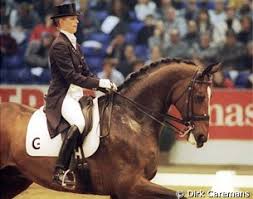 Jumping classes are commonly seen at horse shows throughout the world, including the olympics. 00 Denbosch Vangrunsven Joker 01