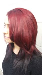 Underneath Black And Dark Purple Hair Pin On Hair