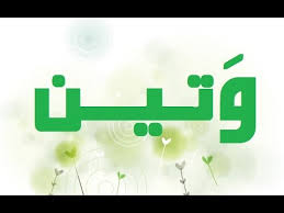 معنى وتين مامعني كلمة وتين عالم الفوائد والغرائب والعجائب