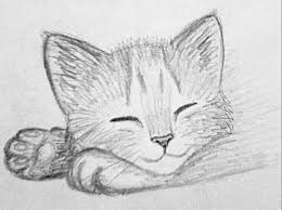 Boceto Gatito Dibujos Bonitos Dibujos Como Dibujar Un Gato