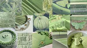 Laptop wallpaper background macbook air wallpaper desktop wallpapers backgrounds. Sage Green Collage In 2021 Sage Green Wallpaper Aesthetic Desktop Wallpaper Cute Laptop Wallpaper
