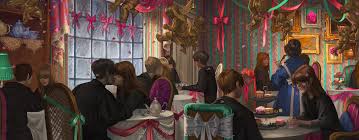 The shipping community (pairing characters in a story together romantically) in harry potter is massive and one of the more out there pairings is hermione and draco malfoy. The Definitive Ranking Of Harry Potter Couples Wizarding World