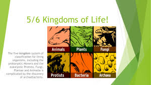 5 Kingdoms Of Life Cellular
