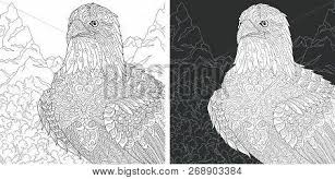 Here's a fun pixel art coloring page of a bald eagle to color. Eagle Coloring Page Vector Photo Free Trial Bigstock