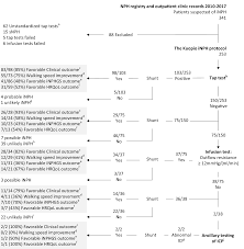 The Kuopio Idiopathic Normal Pressure Hydrocephalus Protocol