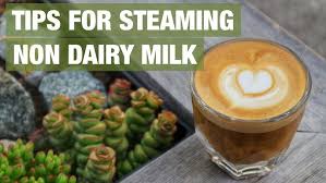 How to froth almond milk with a frother | dini klein highly requested video from instagram audience. Morning Coffee How To Make Almond Milk Froth At Home Dini Klein Youtube