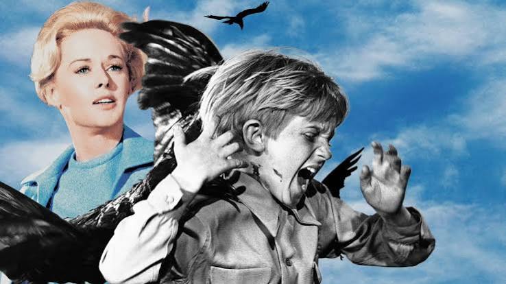 The Birds Ending Explained: Why Were The Birds Attacking & Why Did They  Stop?