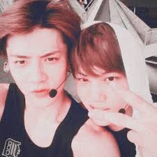 𝙮𝙤𝙪𝙧 𝙨𝙚𝙧𝙤𝙩𝙤𝙣𝙞𝙣𝙞 𝙗𝙤𝙤𝙨𝙩𝙚𝙧