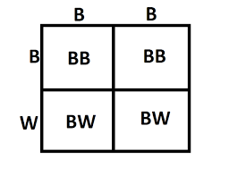 Punnet squares are used to predict the allele of the offspring. Incomplete Dominance Vs Codominance What S The Difference