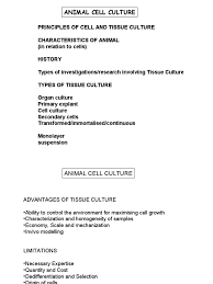 Check spelling or type a new query. Dr Siti Suri Lecture 1 Animal Cell Culture Pdf Cell Culture Cellular Differentiation