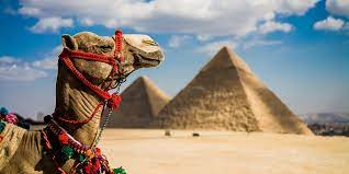 Build your own egypt vacation travel package & book your egypt trip now. Skylink Homepage