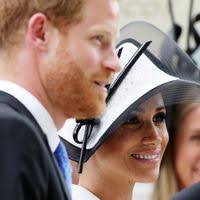 CNN: Bidenin koirille lähtöpassit Valkoisesta talosta