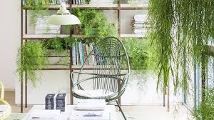 We did not find results for: 10 Best Indoor Hanging Plants That Thrive In Apartments