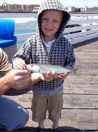 If you could get in touch with a boat before it comes in and meet it you may be able to. Pacific Chub Mackerel Pier Fishing In California