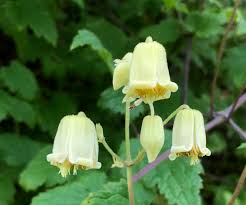 Maybe you would like to learn more about one of these? How To Have Cheap Romance In Your Garden The 3 Growbags