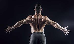 Paul Cribb Ph.D. CSCS., Author at AST Sports Science