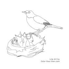 Puffin coloring pages  3. Robin Feeding Baby Birds Coloring Page