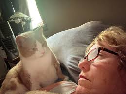 Introducing new family member