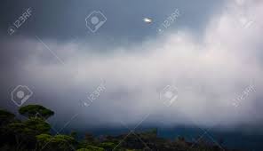 Shop affordable wall art to hang in dorms, bedrooms, offices, or anywhere blank walls aren't welcome. Natura Wallpaper Cloudy Day Hills Seagull Flying Background Wild Natural Forests Colored Picture Nature Portraits Stock Photo Picture And Royalty Free Image Image 87241519