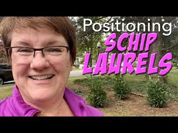 Positioning Three Schip Laurels