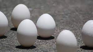 Although the irregular shape of eggs makes this. ç«¯åˆçŽ©ç«‹è›‹ ä¹ŸåŸ¹é¤Šå­©å­çš„ç§'å­¸ç´ é¤Š ç¿»è½‰æ•™è‚² è¦ªå­å¤©ä¸‹ç¶²ç«™