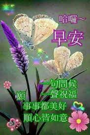 pin by 阿宏on 早安花 good morning greetings morning greeting good morning