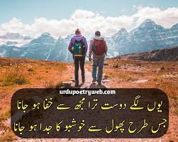 Funny friendship poetry in urdu 4 lines: Friendship Poetry In Urdu Two Lines Dosti Poetry In Urdu
