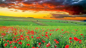 Hd Wallpapers 1080p Widescreen Nature Free Download This collection presents the theme of 3d 1920×1080 hd nature.