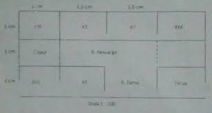 Ukuran sebuah kota pada suatu peta adalah panjang 12 cm dan lebar 9 cm. Perhatikan Denah Rumah Arman Berikut Iniluas Rumah Arman Sebenarnya Adalah A 45 Mb 72 Mc 108 Brainly Co Id