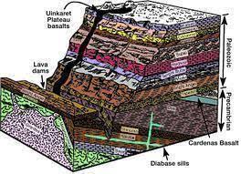 Learn about different types of radiometric dating, such as carbon dating. Radiometric Dating