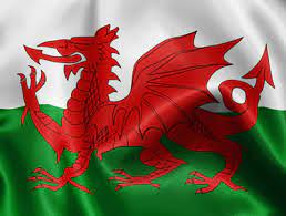 In 1536, under henry viii, the act of union joined england and wales officially. History Of Welsh Flags