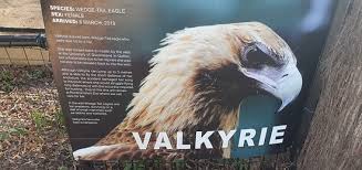 Sydney trains run frequent trains between sydney and most suburbs over an intensive network of lines. Rockhampton Zoo Picture Of Rockhampton Zoo Tripadvisor