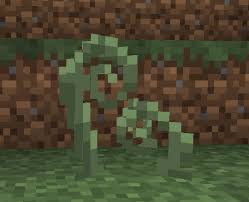 Biomes O Plenty Wiki Koru Biomes Painting Fandoms