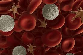 Do you know what bone marrow cancer symptoms look like? Bone Marrow Suppression And Blood Disorders Upmc Healthbeat