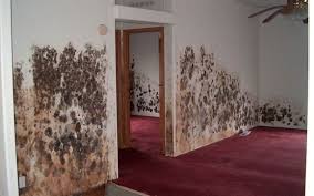 If mold can be seen, if a musty odor is present, or if there is good reason to believe health problems are being caused by mold, a careful inspection of the home should be conducted. Free Mold Moisture Inspection By Mold Inspection Services Inc In Billings Mt Alignable