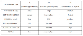 Maximizing Motor Units Physiostrength