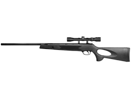 Daisy powerline 901, air rifle, 177 pellet/bb, 800 feet per second, 10.75 barrel, black color, synthetic stock, single shot. Winchester 1029 Air Rifle Combo Pyramyd Air