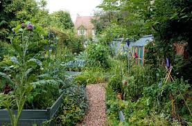 A google ingyenes szolgáltatása azonnal lefordítja a szavakat, kifejezéseket és weboldalakat a magyar és több mint 100 további nyelv kombinációjában. Organic Gardening How To Create A Successful Organic Garden Real Homes
