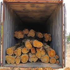 Teak has been widely used in india for more than 2,000 years. Brazil Teak Wood Logs At Rs 3500 Square Feet à¤¸ à¤— à¤¨ à¤²à¤•à¤¡ à¤• à¤² à¤— Sian Exim Nagpur Id 9192507155