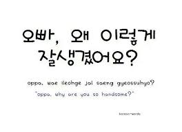 Oppa Why Are You So Handsome Korean Words Korean Phrases Korean Language