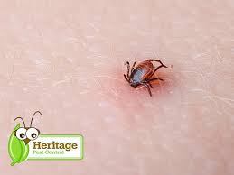 210 west parkway, unit 6, pompton plains. Heritage Pest Control 210 W Parkway Unit 6 Pompton Plains Nj Pest Control Mapquest